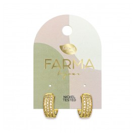 Υποαλλεργικά Σκουλαρίκια Adelaide hoops with zircon 14mm (BECG886) Farma Bijoux