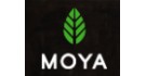 Moya Matcha